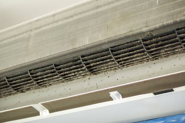 Best Best Air Duct Cleaning Company  in Bellaire, OH